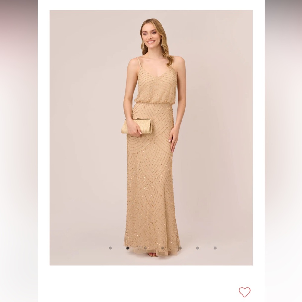 Gorgeous Adrianna Papell Blouson dress. Worn once!